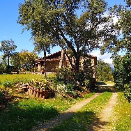 La Simona Casa Rural Perales del Puerto 外观 照片