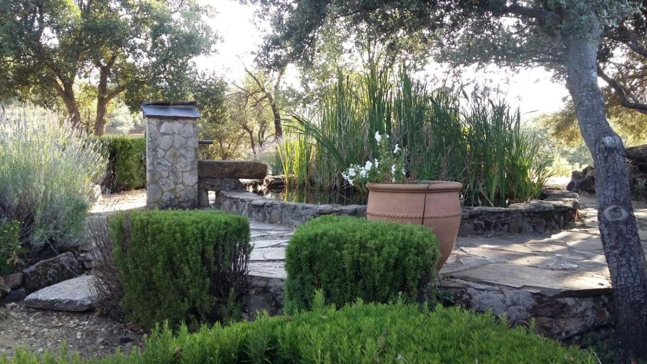 La Simona Casa Rural Perales del Puerto 外观 照片