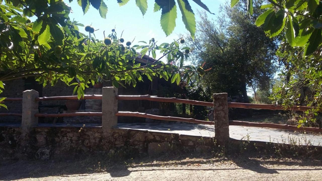 La Simona Casa Rural Perales del Puerto 外观 照片