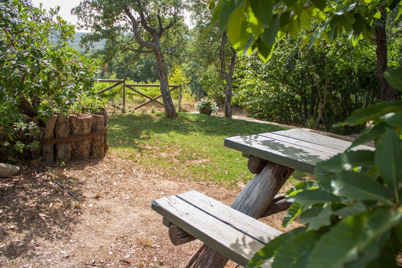 La Simona Casa Rural Perales del Puerto 外观 照片