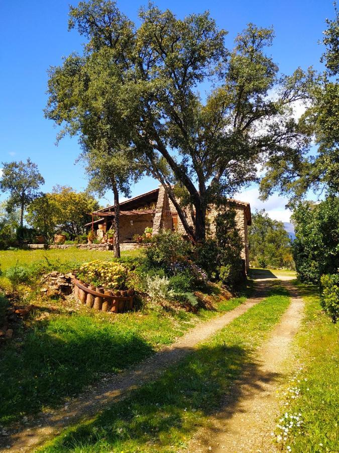 La Simona Casa Rural Perales del Puerto 外观 照片