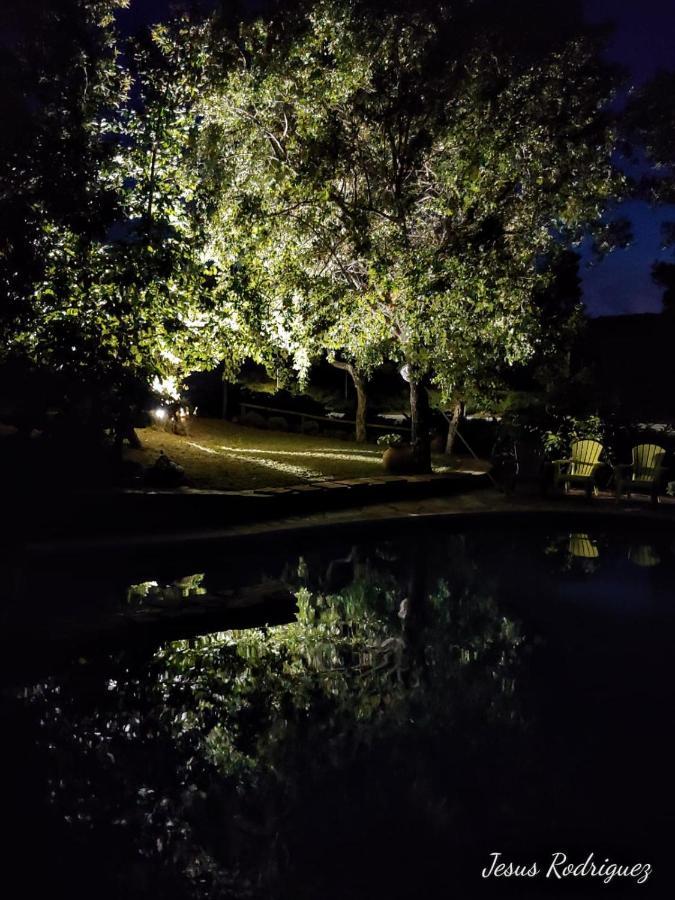La Simona Casa Rural Perales del Puerto 外观 照片