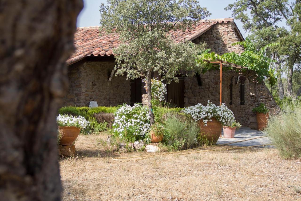 La Simona Casa Rural Perales del Puerto 外观 照片