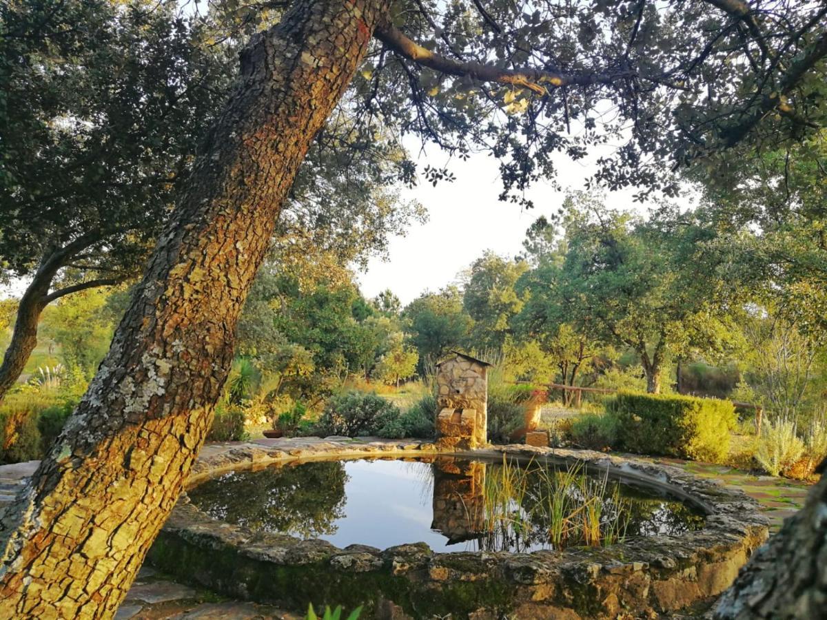 La Simona Casa Rural Perales del Puerto 外观 照片