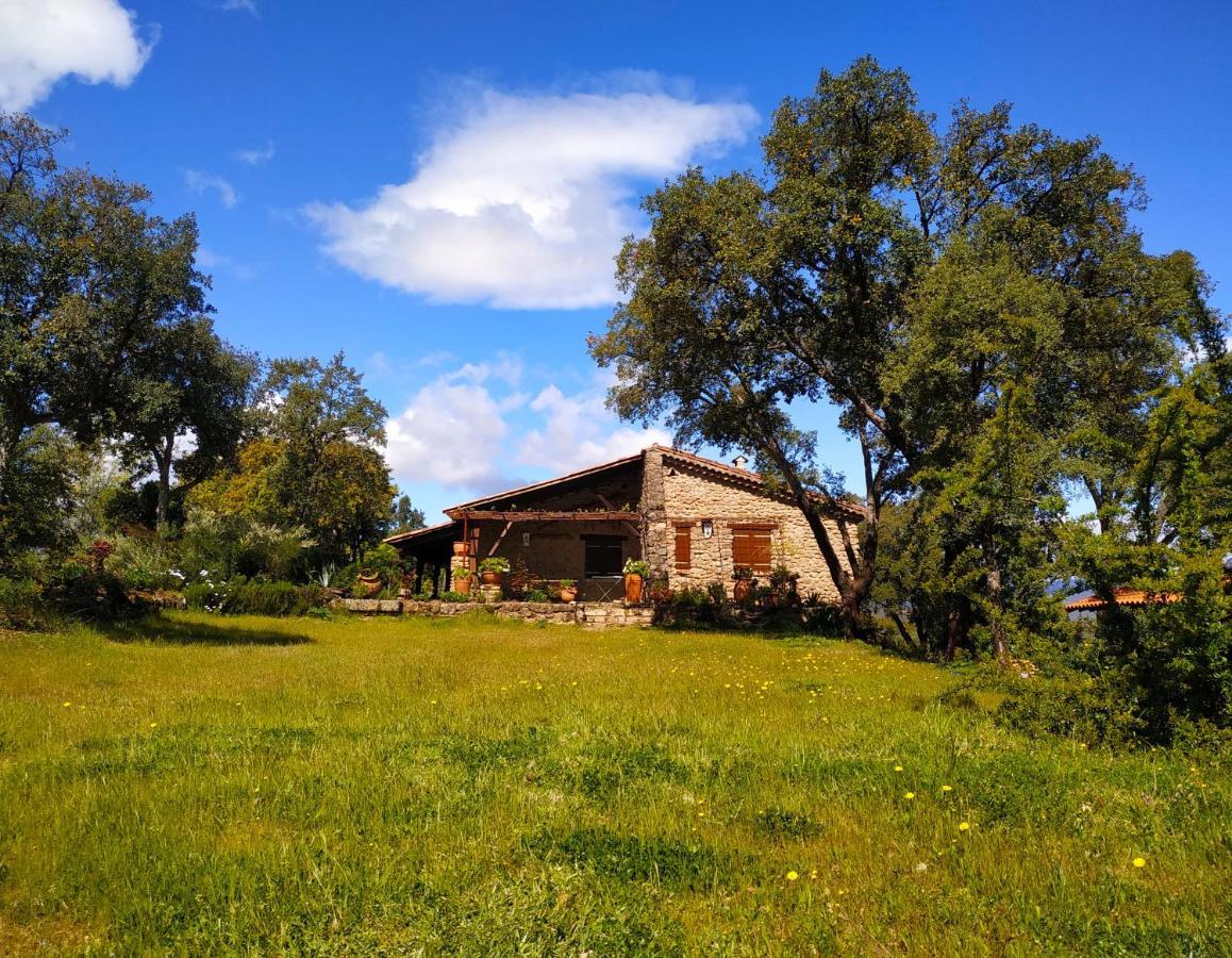 La Simona Casa Rural Perales del Puerto 外观 照片