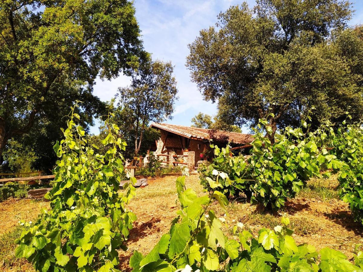La Simona Casa Rural Perales del Puerto 外观 照片